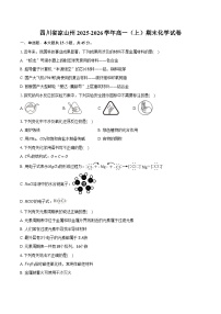 四川省凉山州2025-2026学年高一（上）期末化学试卷