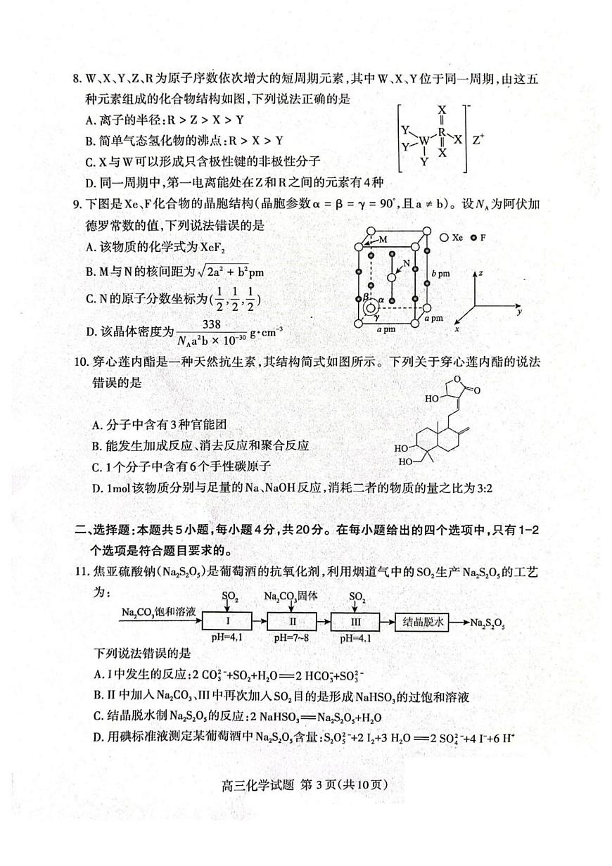 2026届山东省泰安市高三一模上学期一轮检测 化学试题及答案第3页