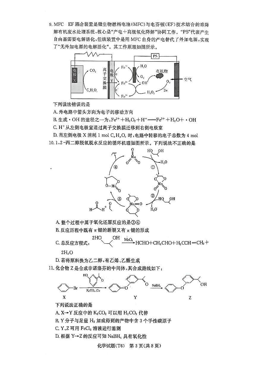 化学-湖南长沙市湖南师大附中2025-2026学年高三上学期月考六试卷及答案第3页