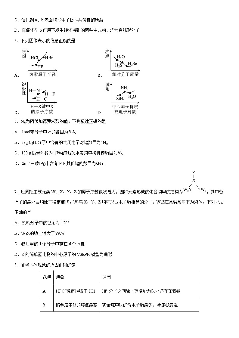 2024-2025学年福建省龙岩市长汀县第一中学高二下学期3月月考化学试卷（学生版）第2页