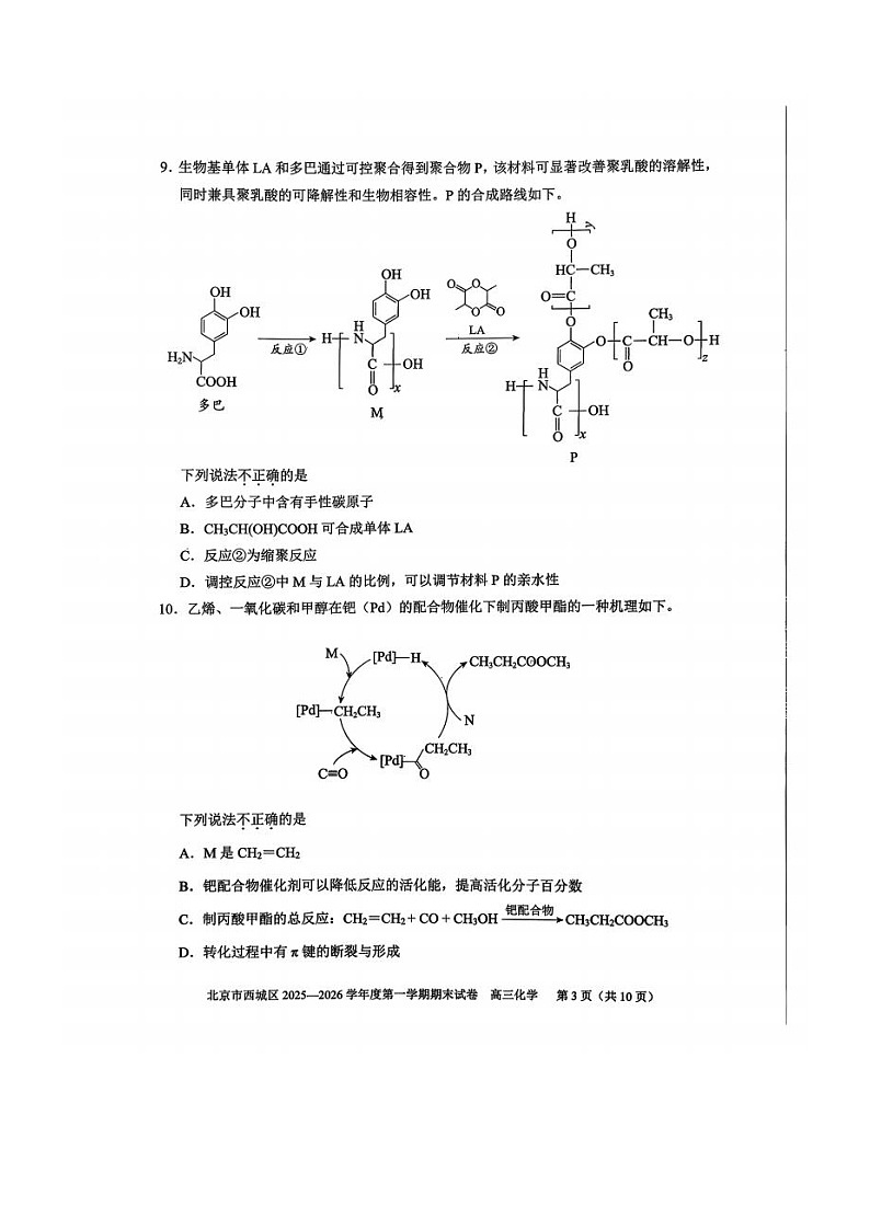 北京市西城区2025-2026学年高三上学期期末考试 化学 含答案第3页