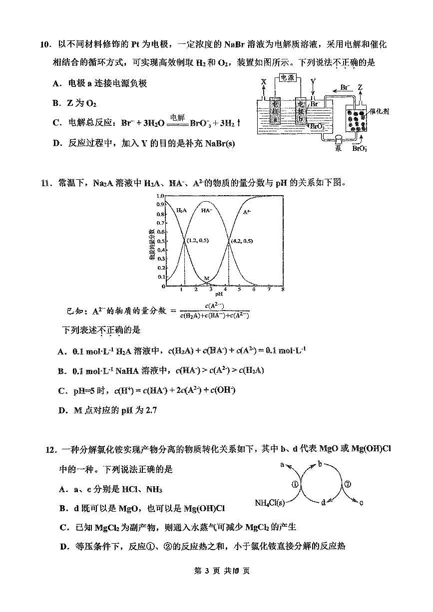 2026北京北师大二附中高二（上）期末化学试卷第3页
