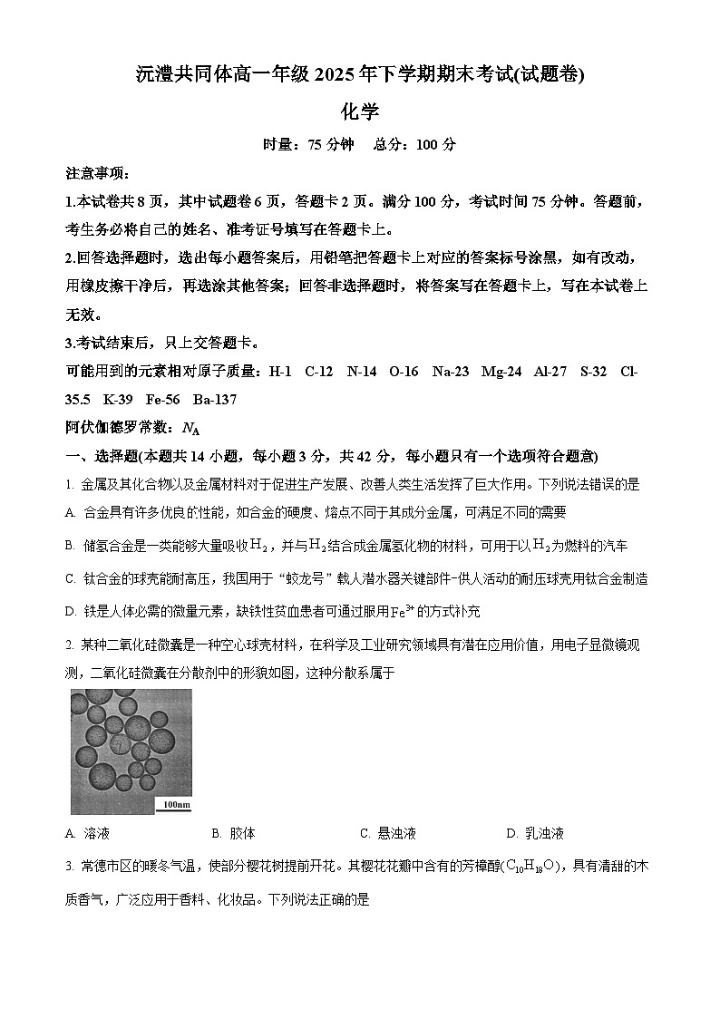 湖南常德市沅澧共同体2025-2026学高一上学期期末考试化学试题（试卷+解析）第1页