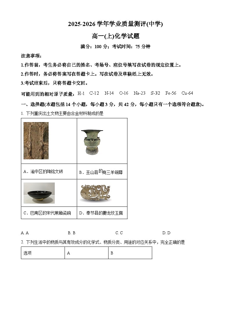 重庆市九龙坡区2025-2026学年学业期末质量测评高一上学期化学试题（试卷+解析）第1页