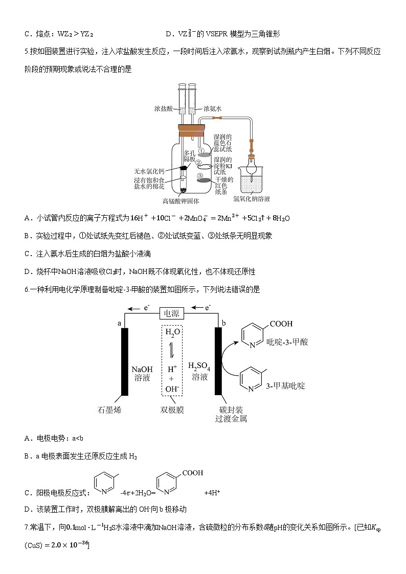 西藏自治区拉萨市2025届高三上第二次联考理综(学生版) 化学试卷第2页