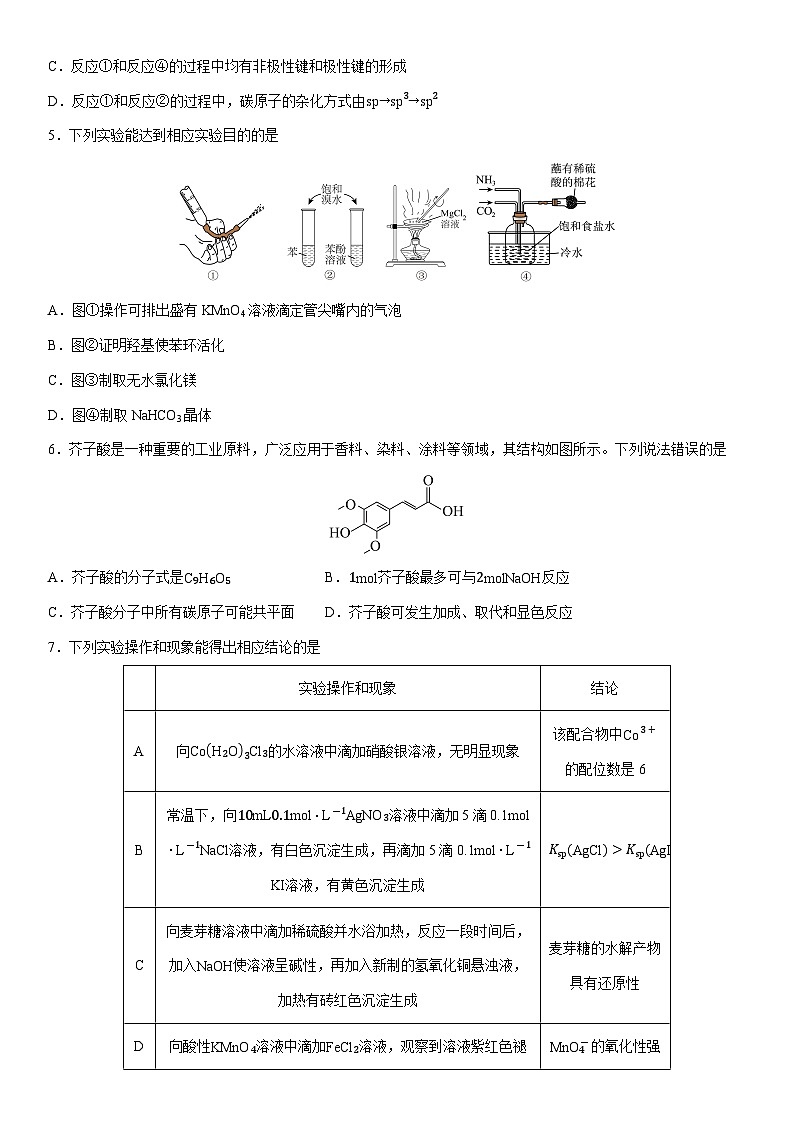 湖南省邵阳市2025届高三下学期第二次联考化学试卷（学生版）第2页