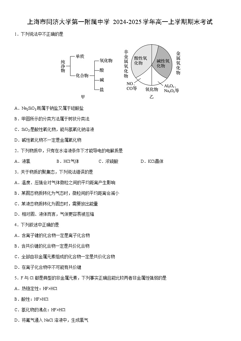 2024-2025学年上海市同济大学第一附属中学高一上学期期末考试化学试卷（学生版）第1页