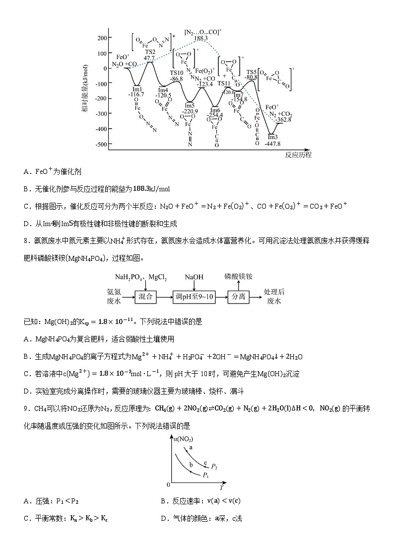 2024-2025学年山东省实验中学高二上学期1月期末考试化学试卷（学生版）第3页