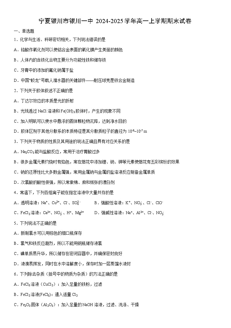 2024-2025学年宁夏银川市银川一中高一上学期期末化学试卷（学生版）第1页