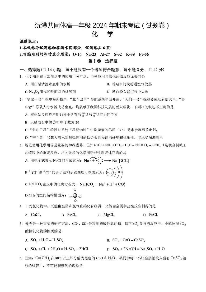 2024-2025学年湖南省沅澧共同体高一上学期期末考试化学试题（含答案）第1页