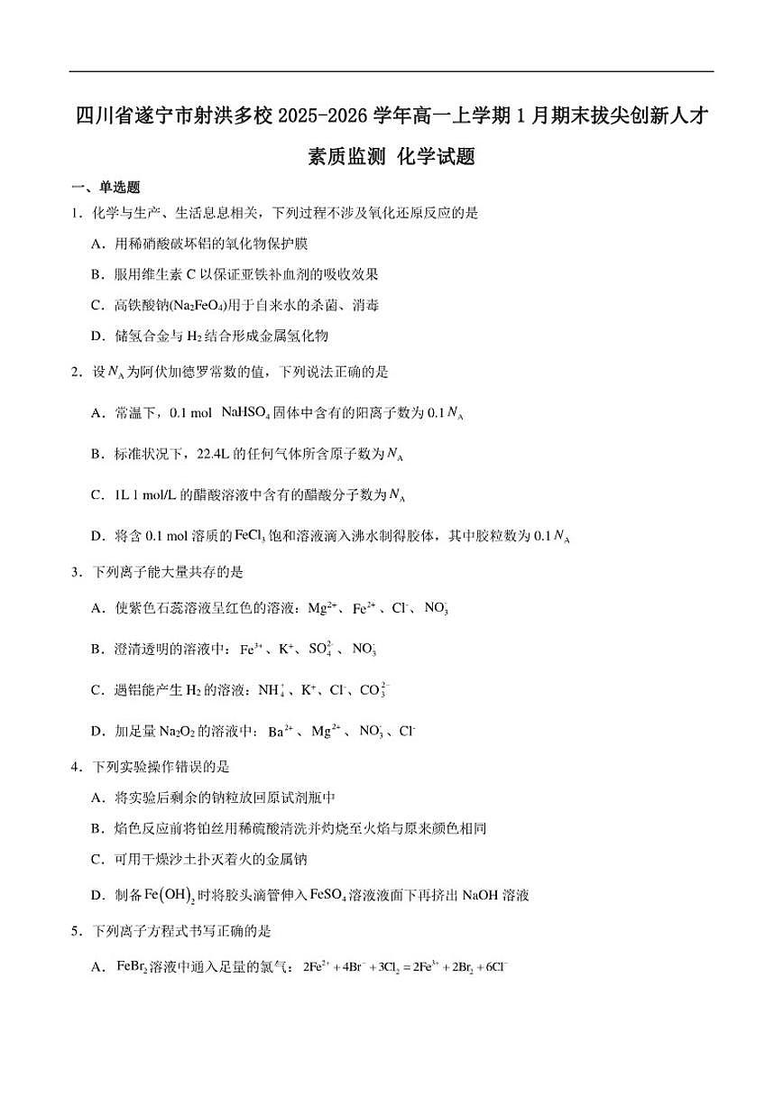 2025-2026学年四川省遂宁市射洪市多校高一上学期期末拔尖创新人才素质监测化学试卷（含答案）第1页