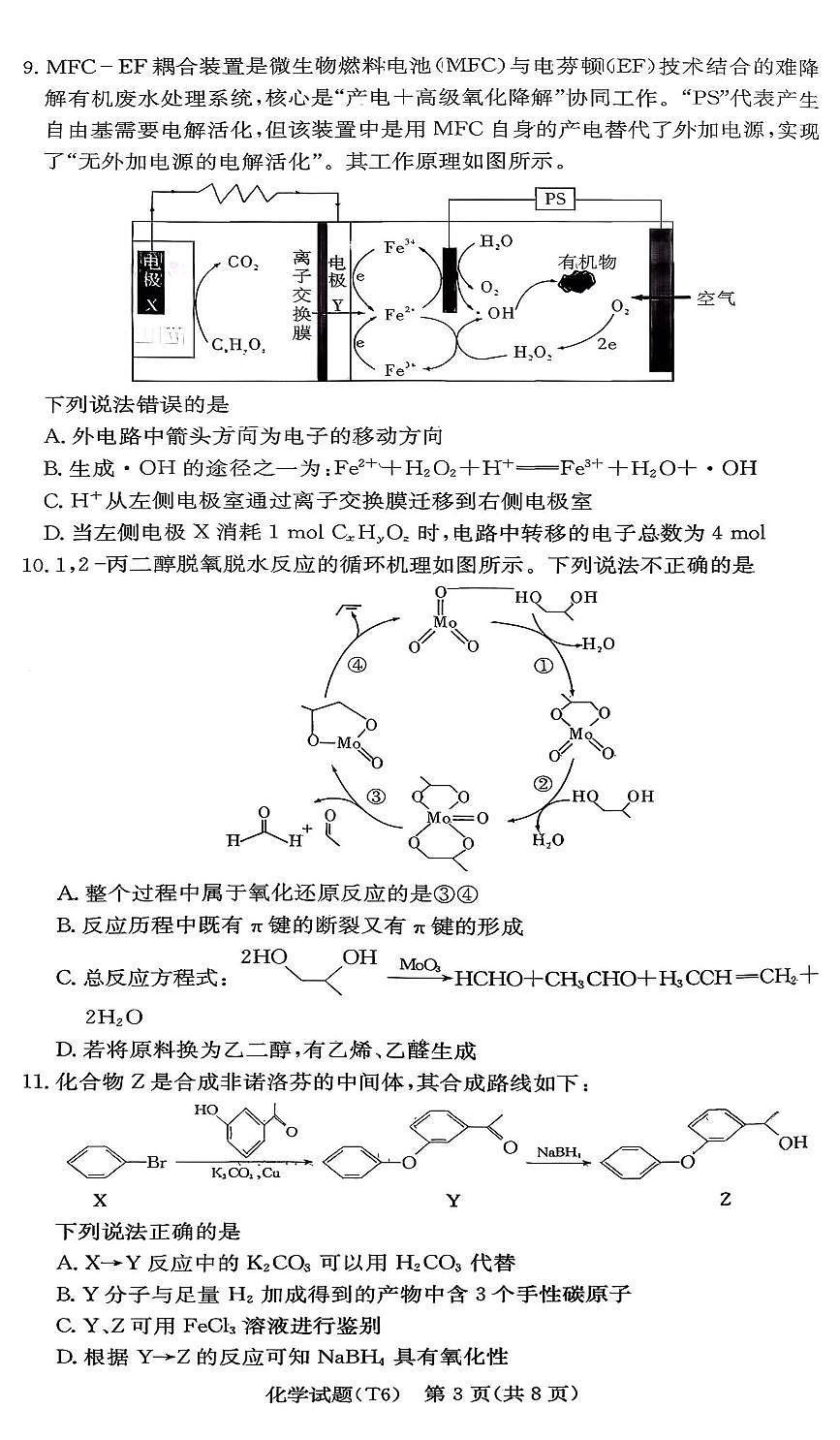 湖南师范大学附属中学2026届高三上学期月考（六）化学试卷（PDF版附答案）第3页