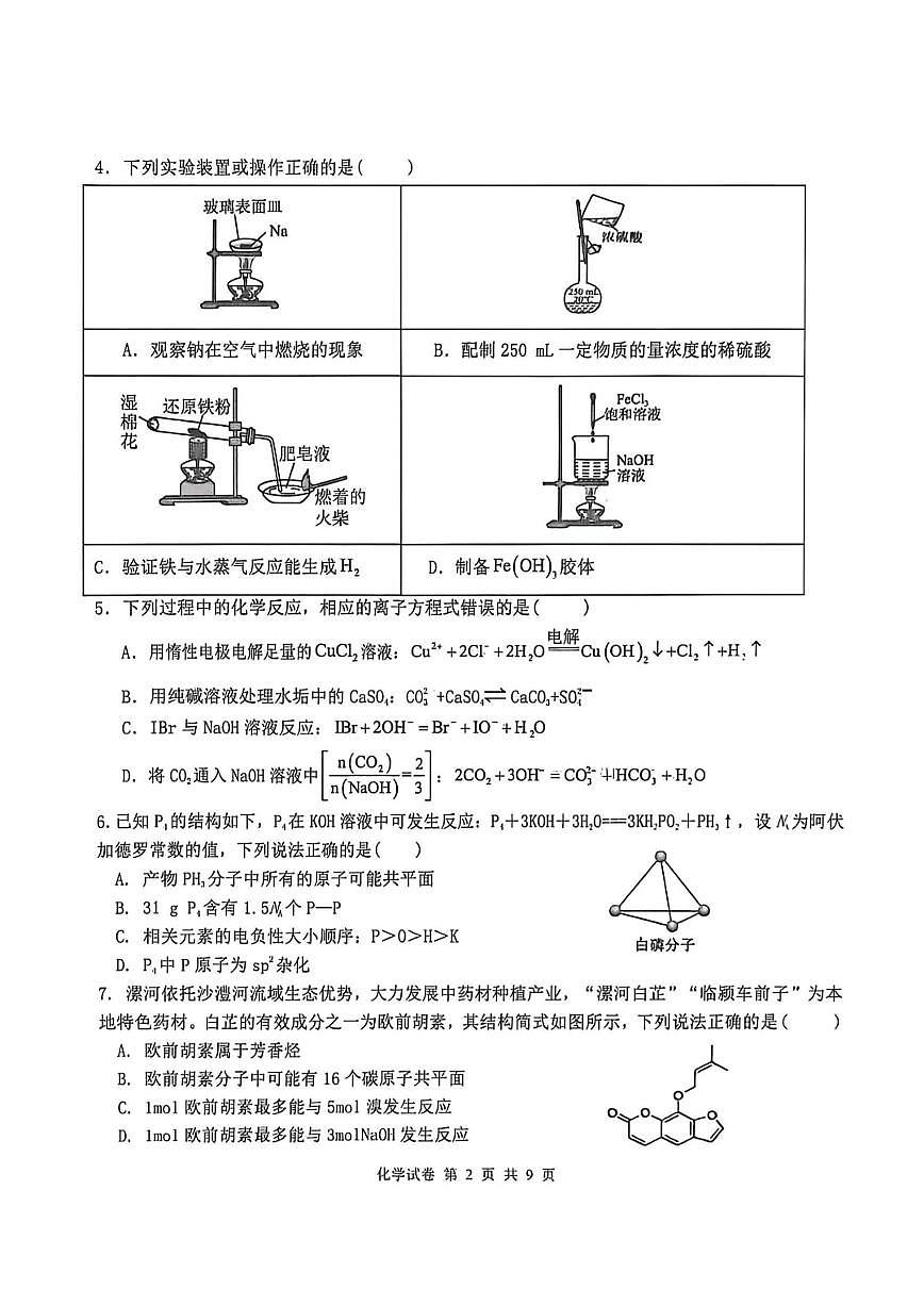 2026届漯河实验高级中学高三上学期期末考试化学试卷（含答案）第2页