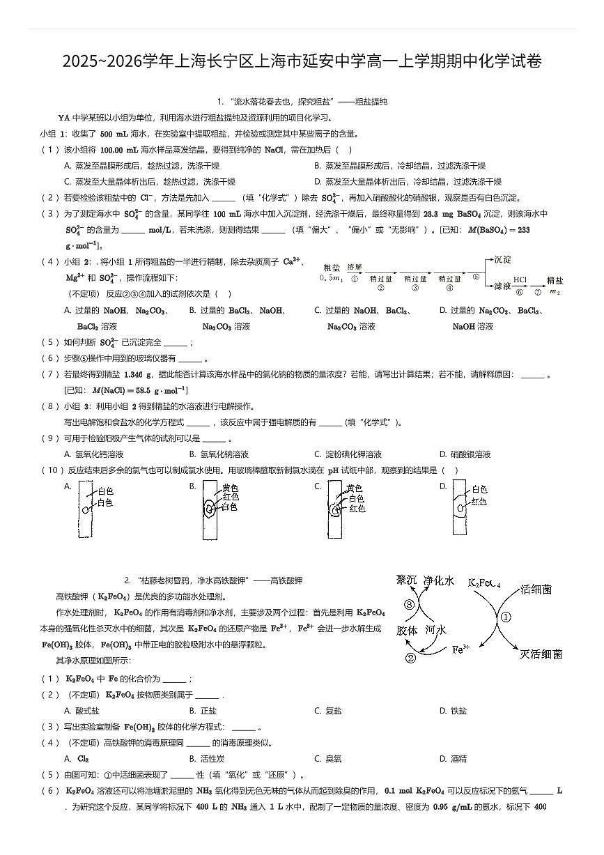 2025~2026学年上海长宁区上海市延安中学高一上学期期中化学试卷（有答案解析）第1页
