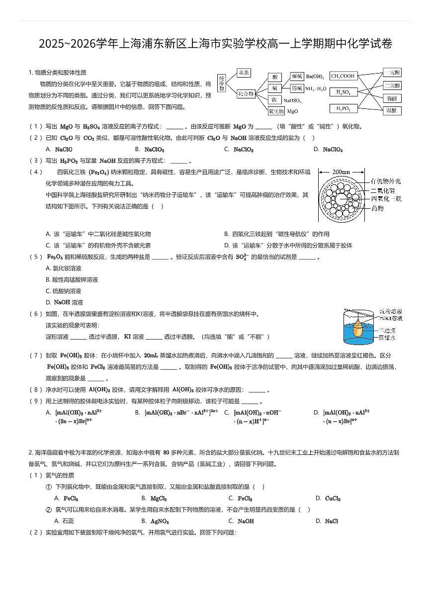 2025~2026学年上海浦东新区上海市实验学校高一上学期期中化学试卷（有答案解析）第1页