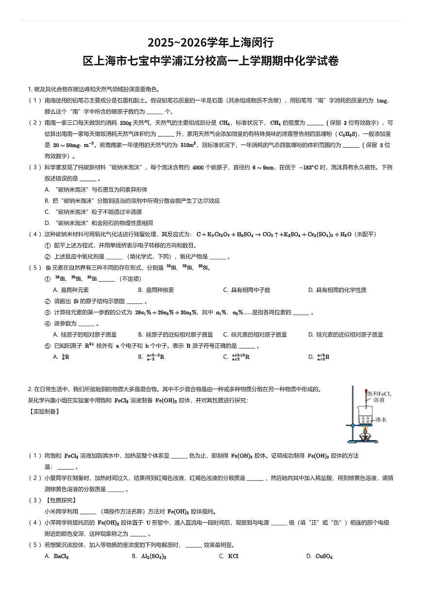 2025~2026学年上海闵行区上海市七宝中学浦江分校高一上学期期中化学试卷（有答案解析）第1页