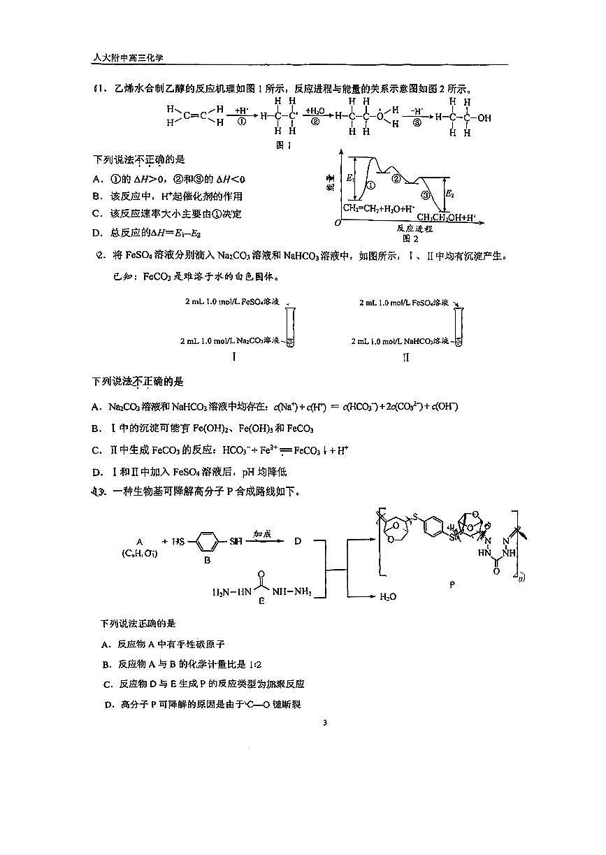 2026北京人大附高三（下）开学考化学试卷有答案第3页