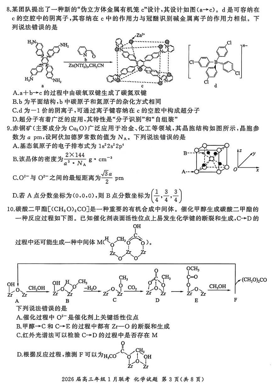 2026届百师联盟高三上学期1月九省联考化学试卷（含答案）第3页
