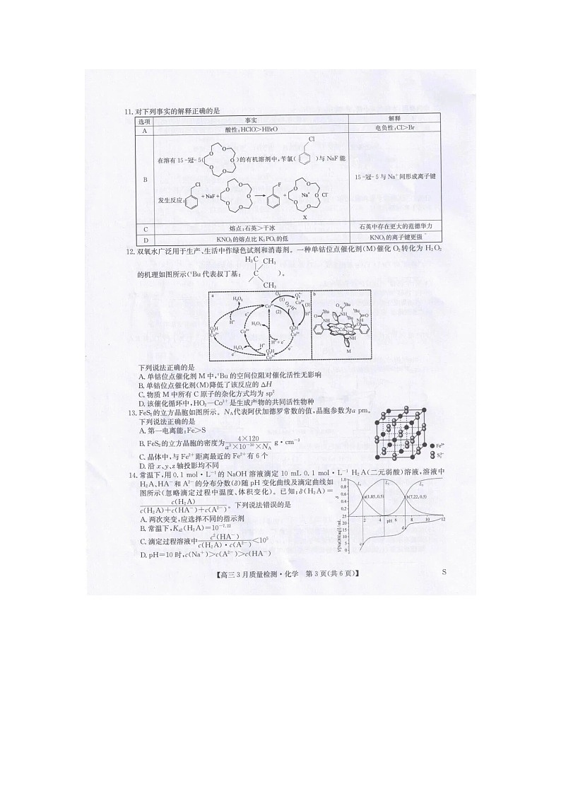 九师联盟2025-2026学年高三下学期3月质检化学卷含答案第3页