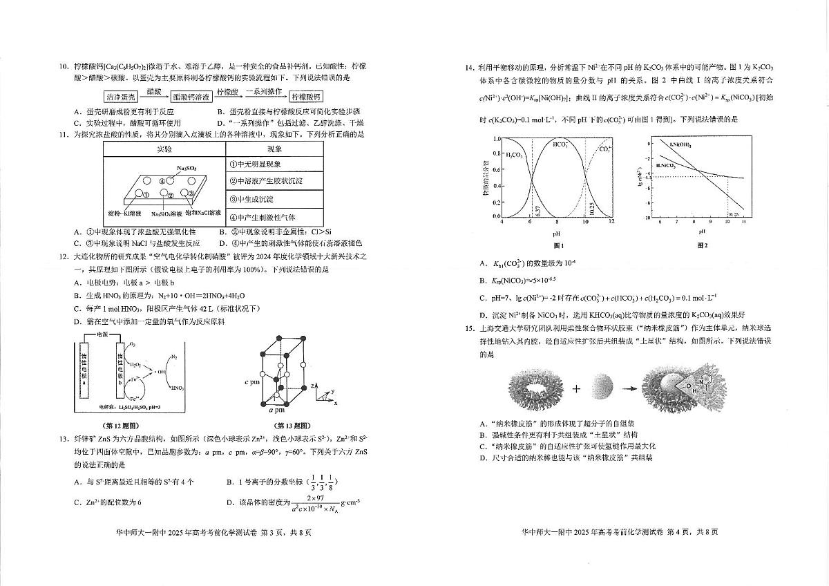 湖北省华中师大一附中2025年高考学科核心素养卷化学第2页