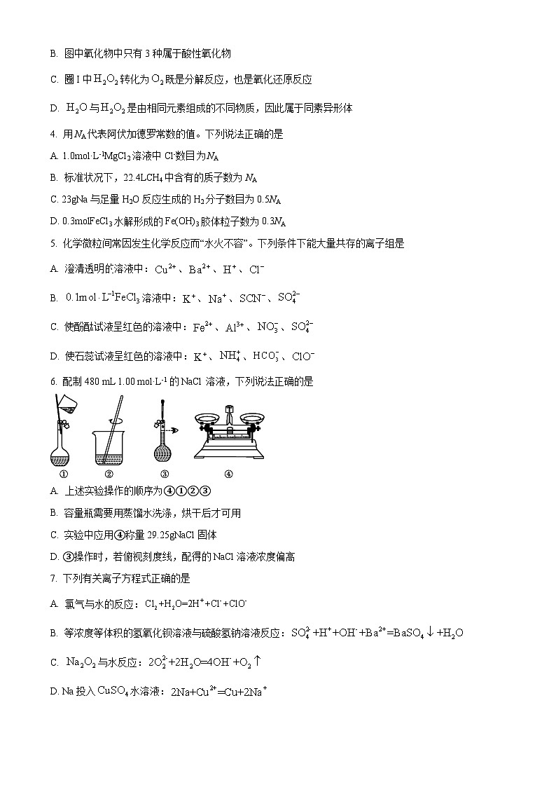 安徽蚌埠市2025-2026学年高一上学期期末考试 化学试卷（试卷+解析）第2页