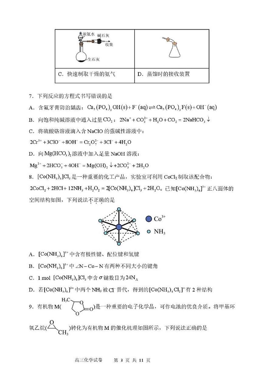2025-2026学年辽宁沈阳市东北育才学校高三下学期第六次模拟考化学试卷（含答案）第3页