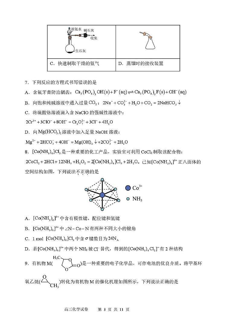 东北育才学校2026届高三下学期第六次模考化学试卷第3页