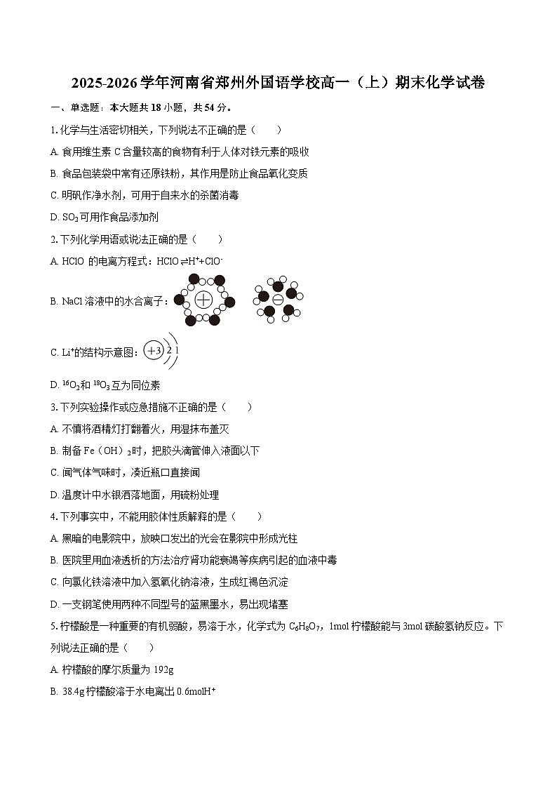 2025-2026学年河南省郑州外国语学校高一（上）期末化学试卷-自定义类型第1页