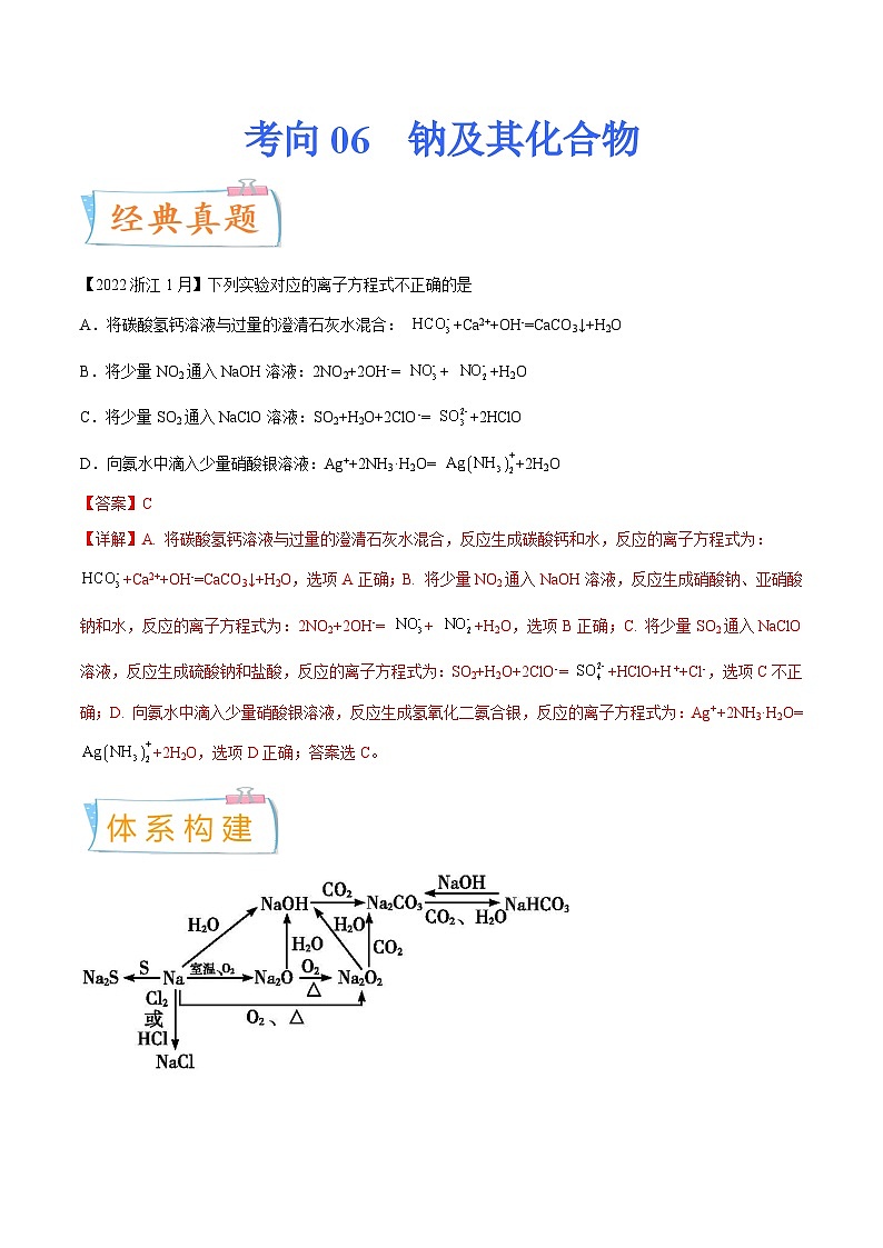 高考化学一轮复习考点巩固练习考向06 钠及其化合物（含答案解析）第1页