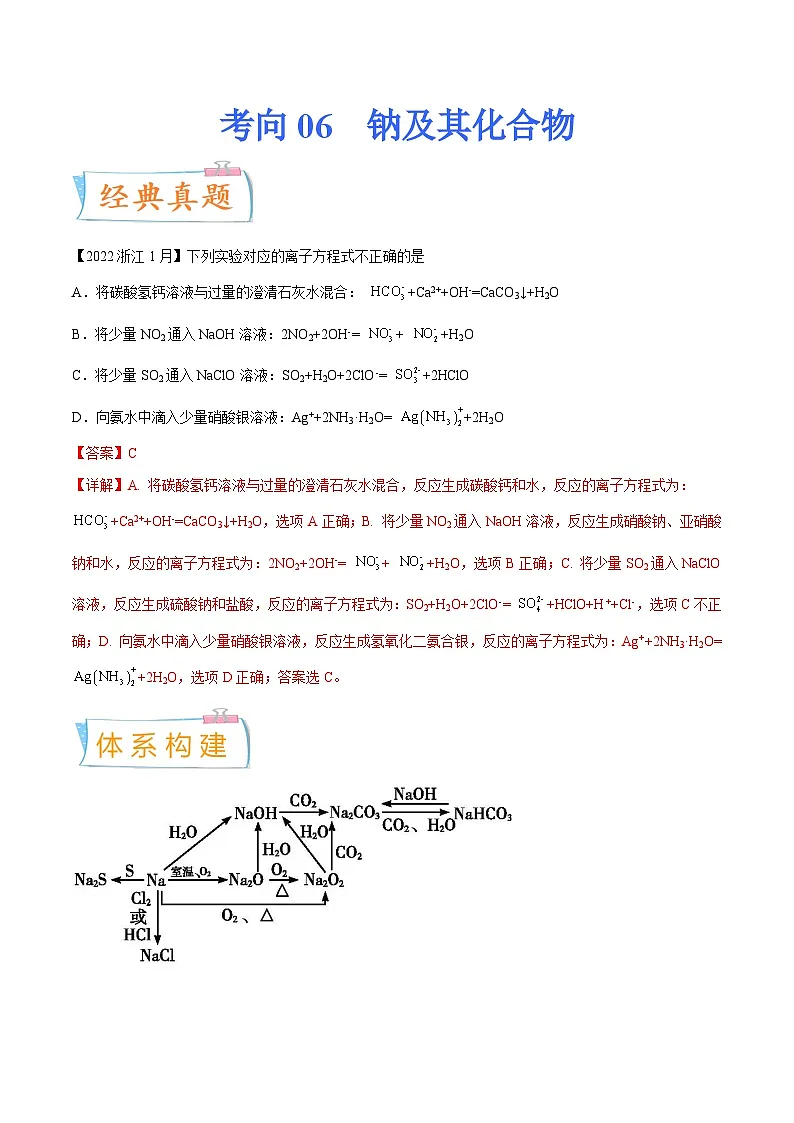 高考化学一轮复习考点巩固练习考向06 钠及其化合物（含答案解析）第1页