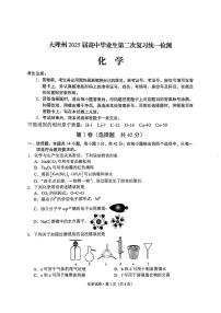 云南省大理州2025届高三年级上学期第二次复习统一检测试卷化学试卷（含答案）