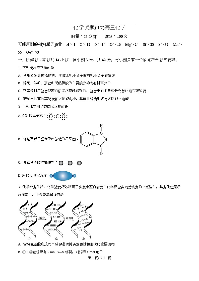 湖南师范大学附属中学2025-2026学年高三下学期开学考试 化学试卷  Word版无答案第1页