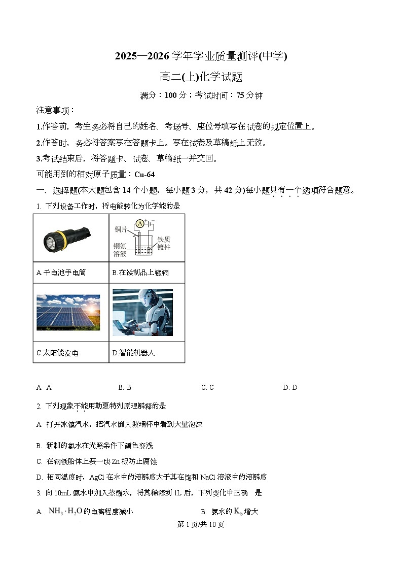 重庆市育才中学2025-2026学年高二上学期学业质量测评（中学） 化学试题（原卷版）第1页