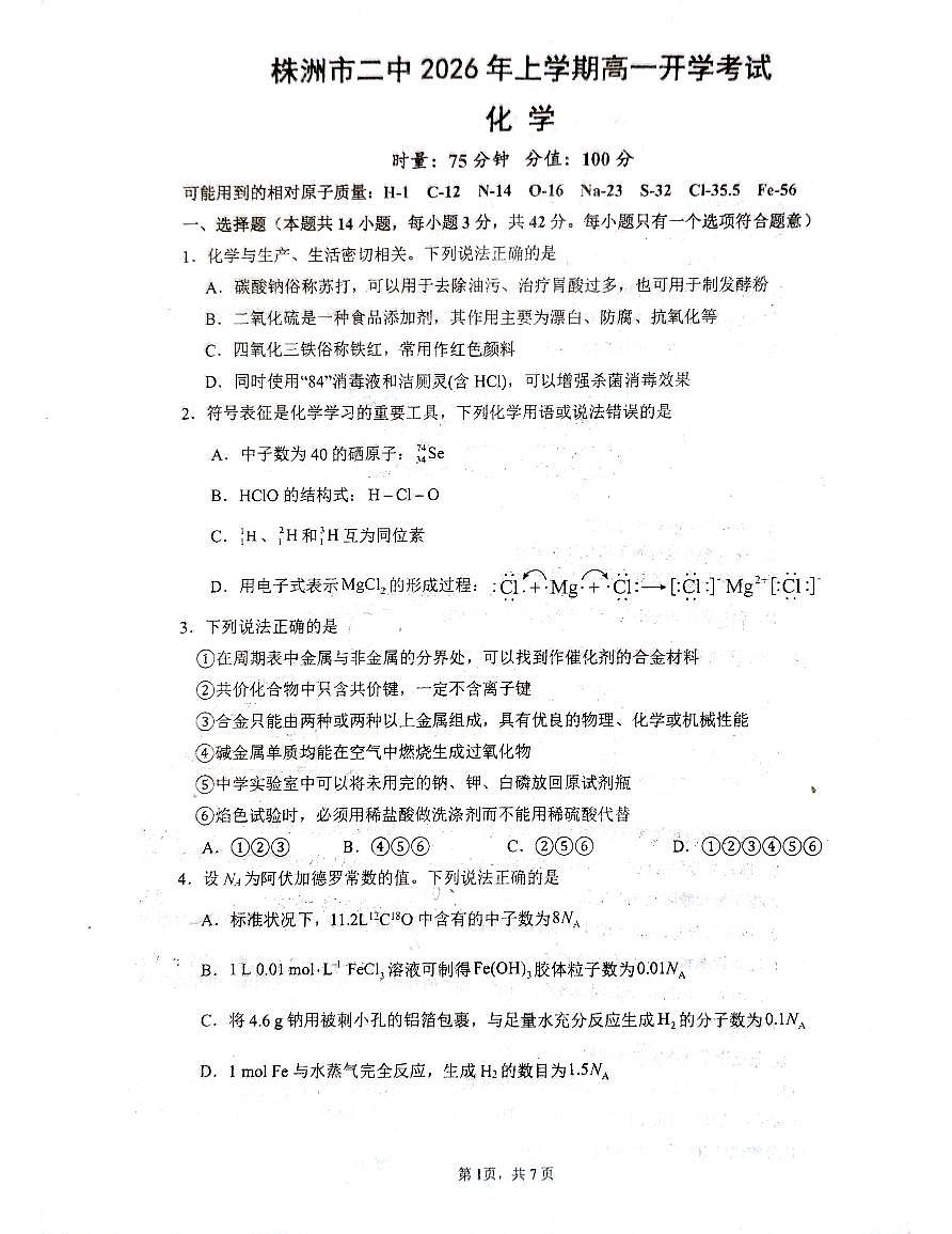 湖南省株洲市天元区株洲市第二中学2025-2026学年高一下学期开学  化学试卷第1页