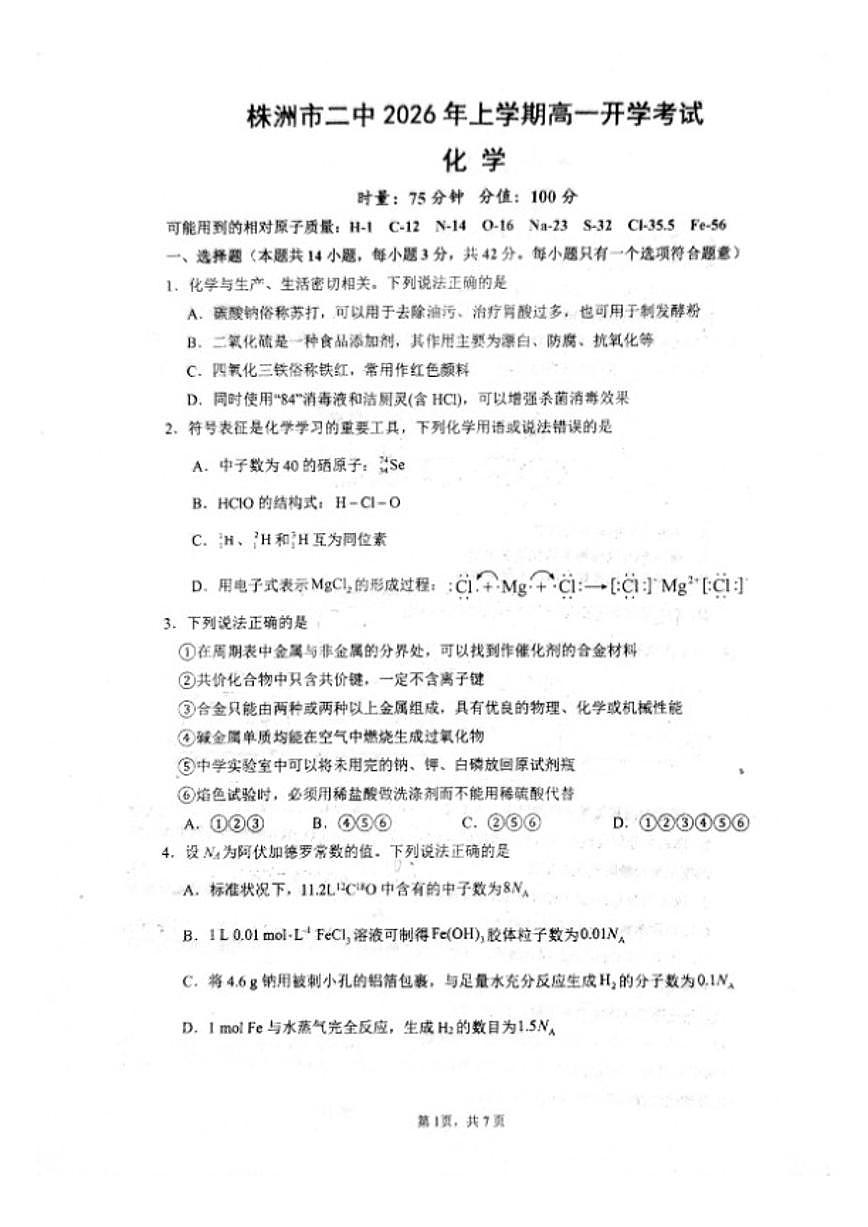 2025-2026学年湖南省株洲市第二中学高一下学期开学化学 试题（含答案）第1页