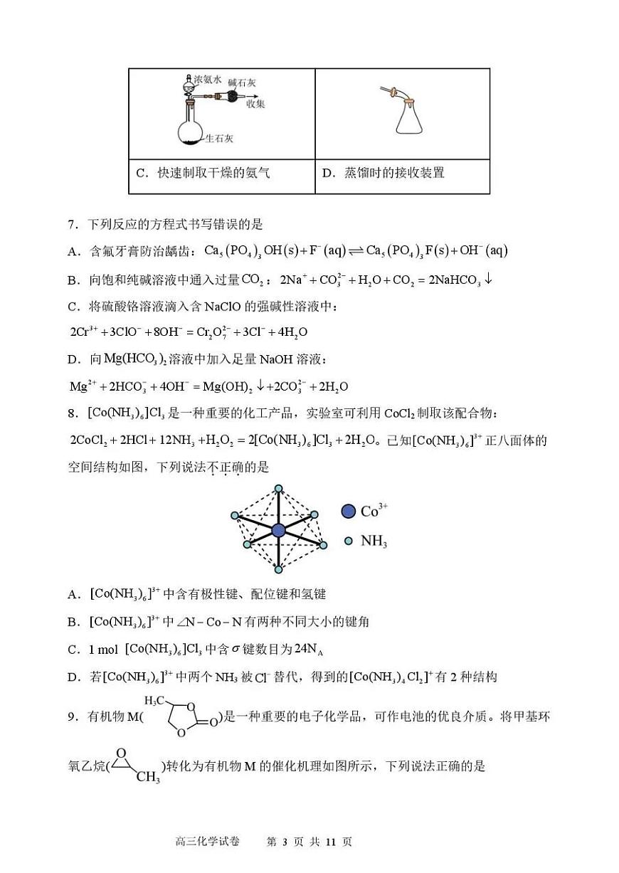 东北育才学校2025-2026学年高三下学期第六次模拟考试 化学第3页