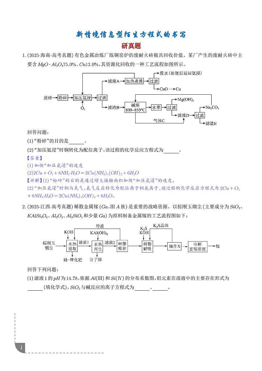 新情境信息型陌生方程式的书写（解析版）第1页
