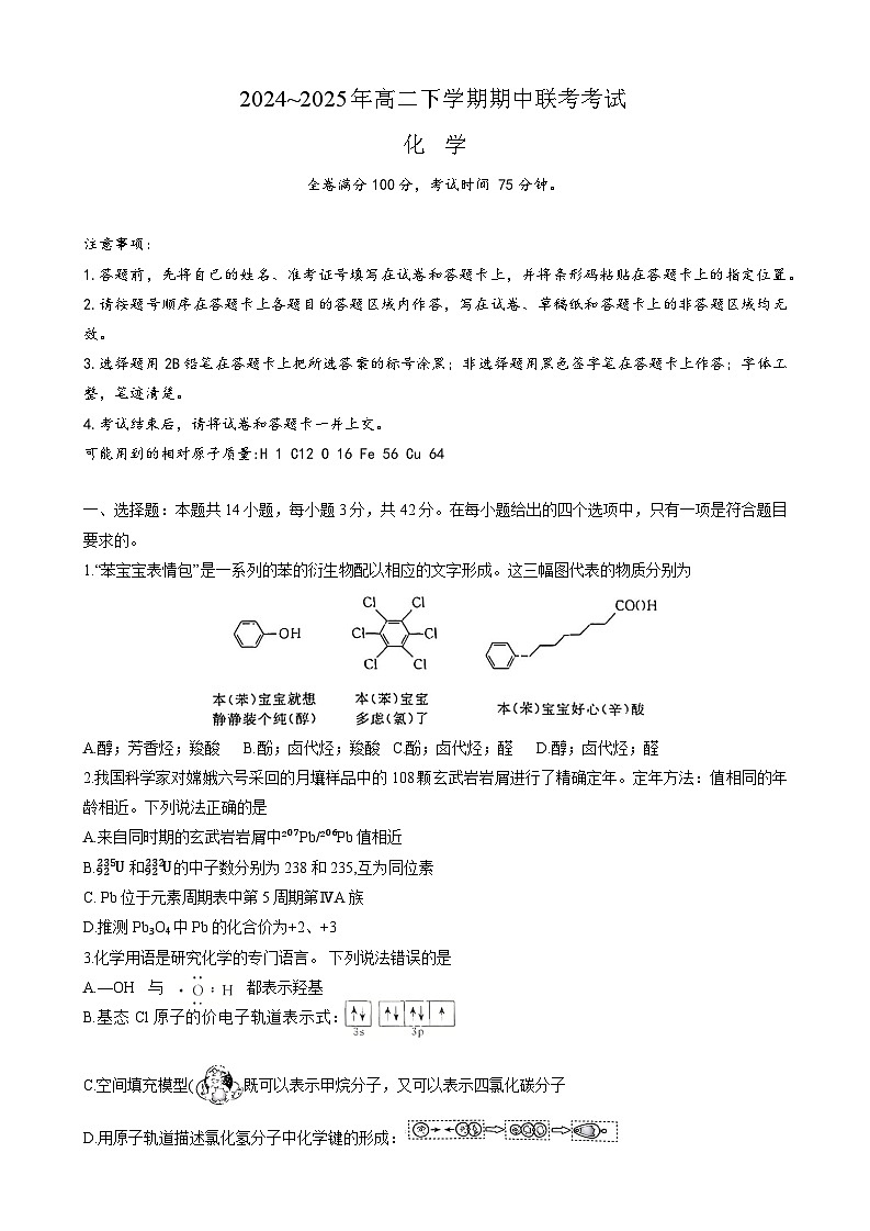 2024-2025年高二下学期期中联考化学第1页