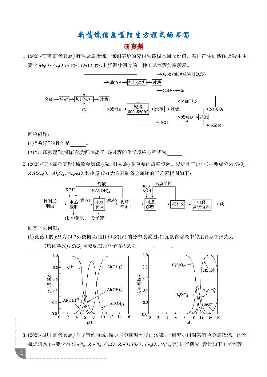 新情境信息型陌生方程式的书写（学生版）练习--高考化学一轮专题第1页