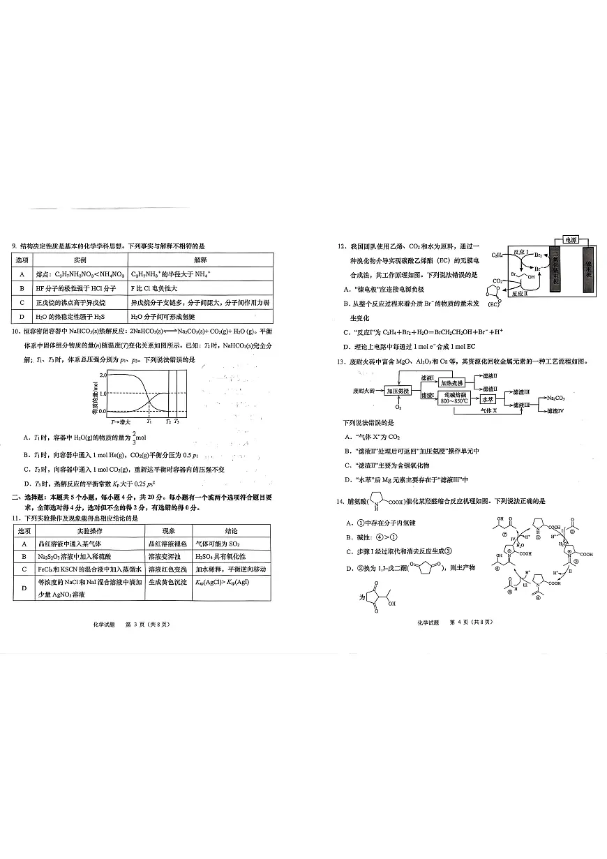 2025-2026学年山东省部分高中学校3月高考模拟化学试题 2025-2026学年山东省部分高中学校3月高考模拟化学试题第2页