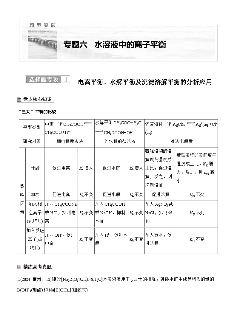 2026高三二轮专题复习化学习题_专题六　选择题专攻1　电离平衡、水解平衡及沉淀溶解平衡的分析应用（含解析）第1页
