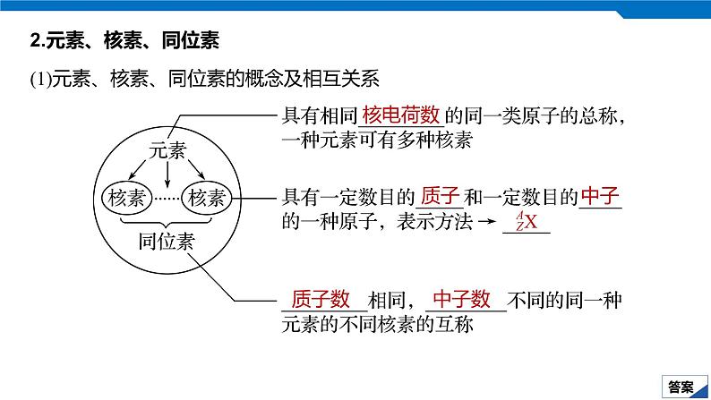 2020高考化学人教版一轮复习课件 第18讲：第五章 物质结构 元素周期律第8页