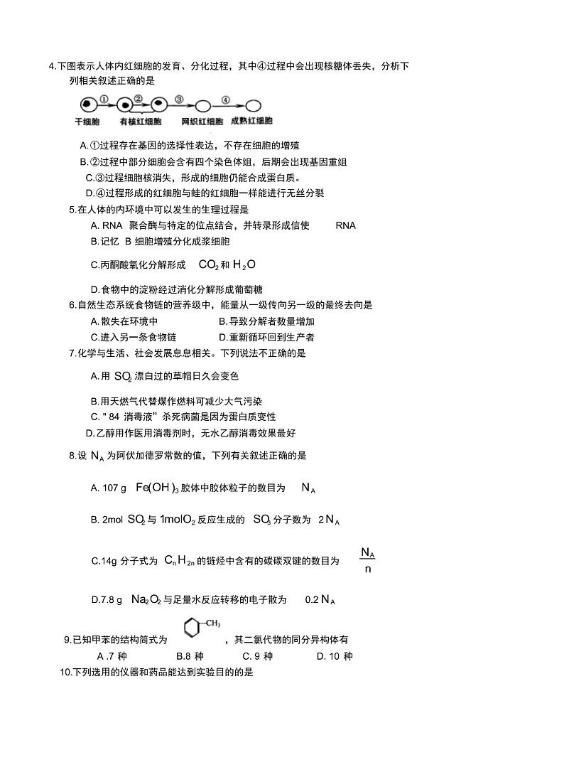 湖北省武昌区2019届高三元月调考理科综合试题02