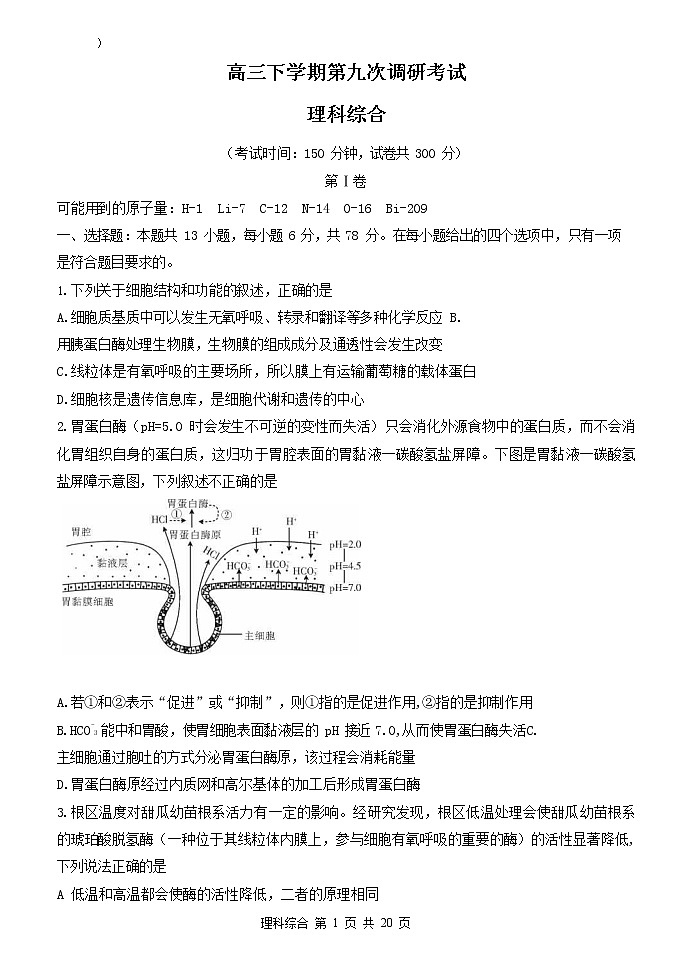 【理综】2020衡水中学下学期高三九调试卷01