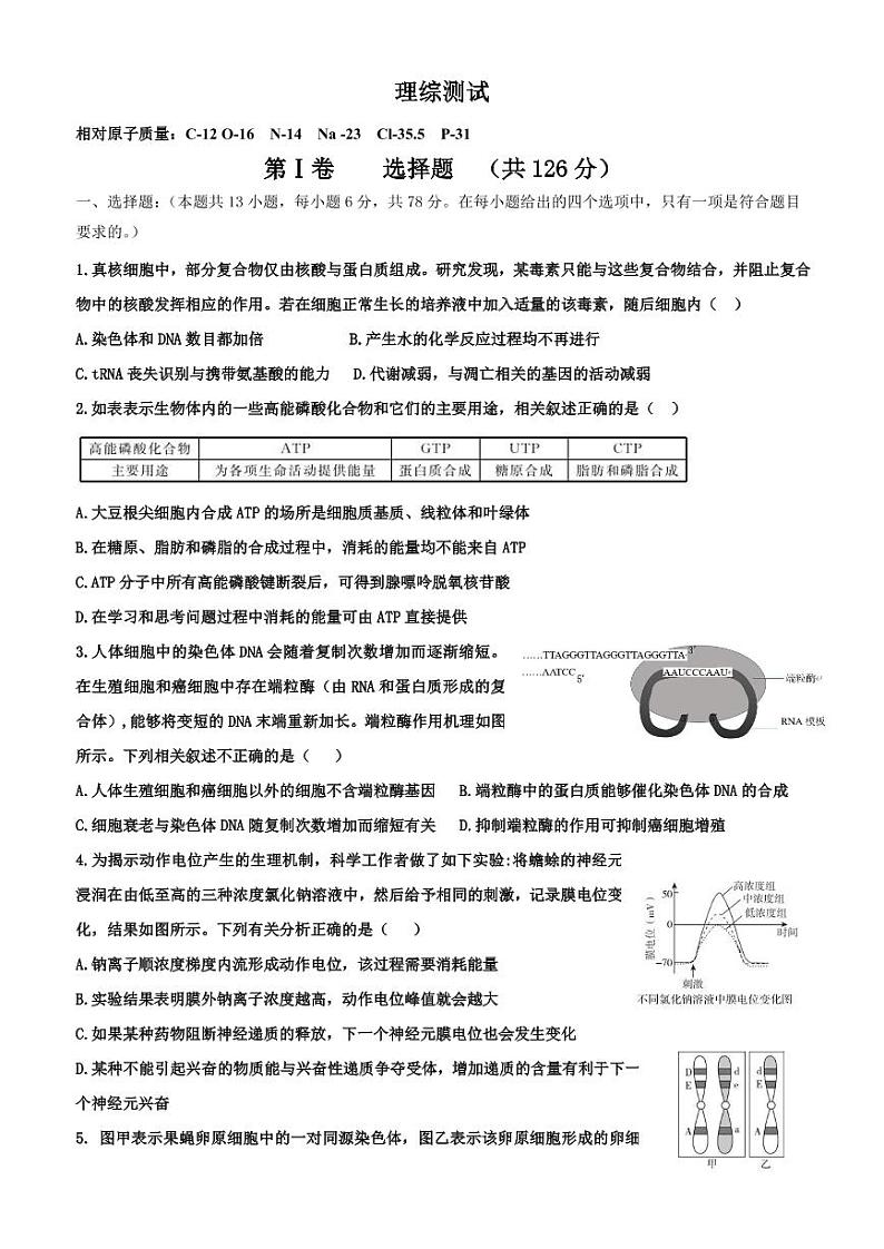 【理综】-衡水中学高三第七次调研第1页