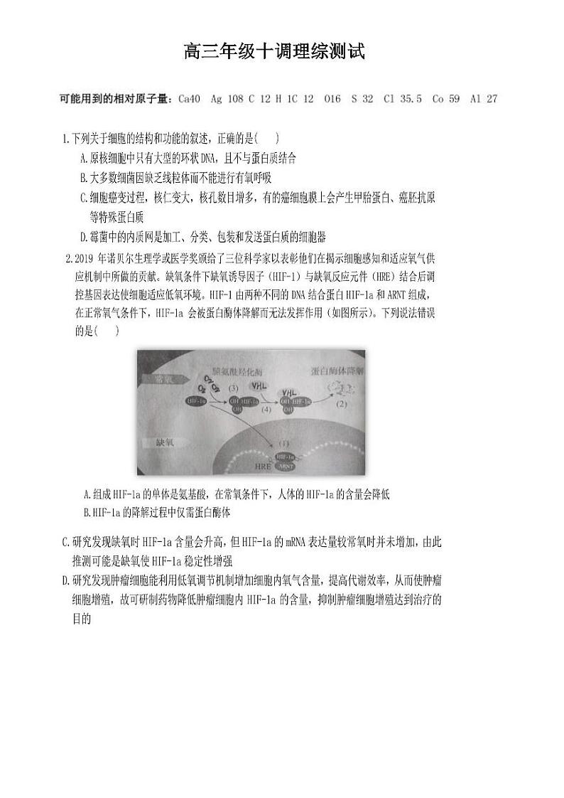 【理综】2020年衡水中学高三十调 试卷01