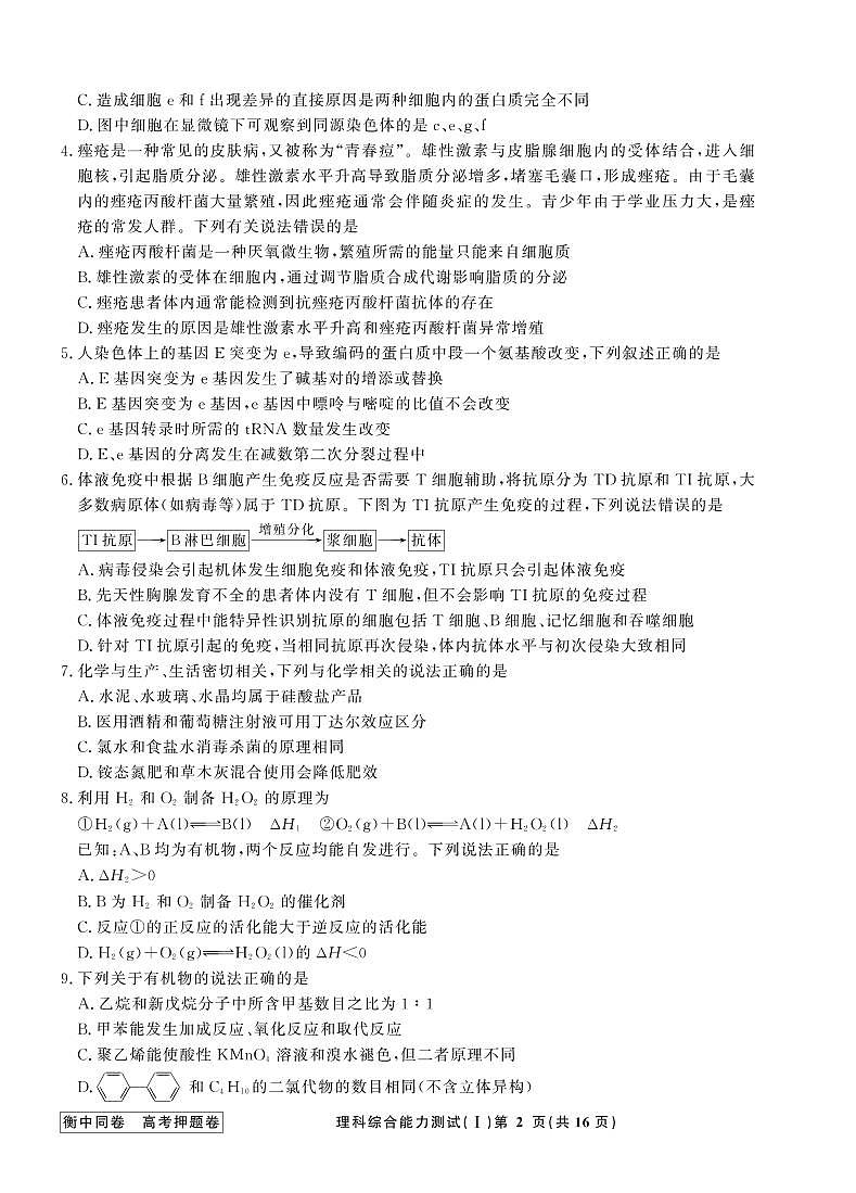 衡中同卷2019-2020押题卷Ⅰ理综试卷共三套_1-16第2页