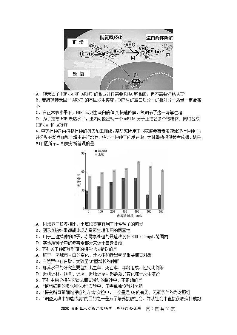 2020届高三八校第二次联考理综 试卷02