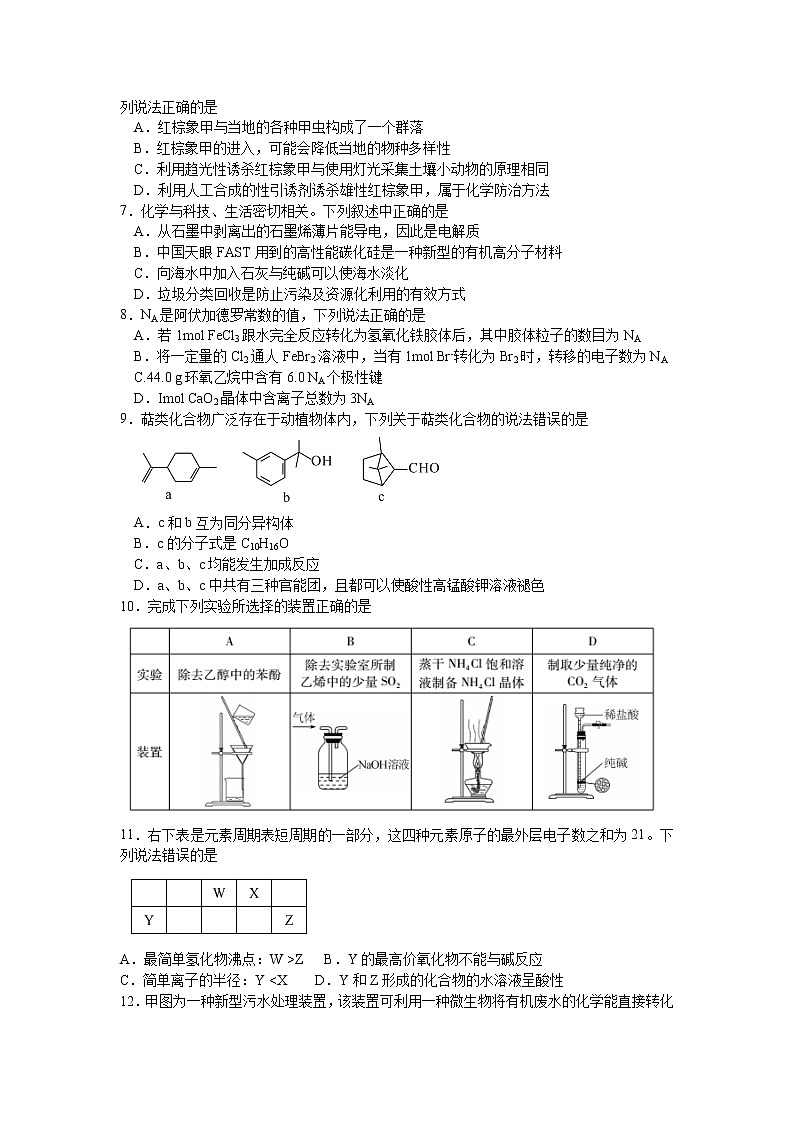 湖北省七市州教科研协作体2020年5月高三联合考试理综试题  Word版第2页