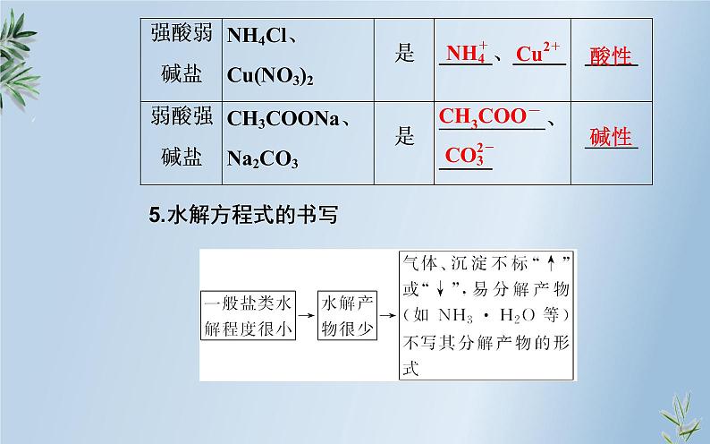 2020届高考化学总复习——第八章 第3节 盐类的水解（课件）第5页